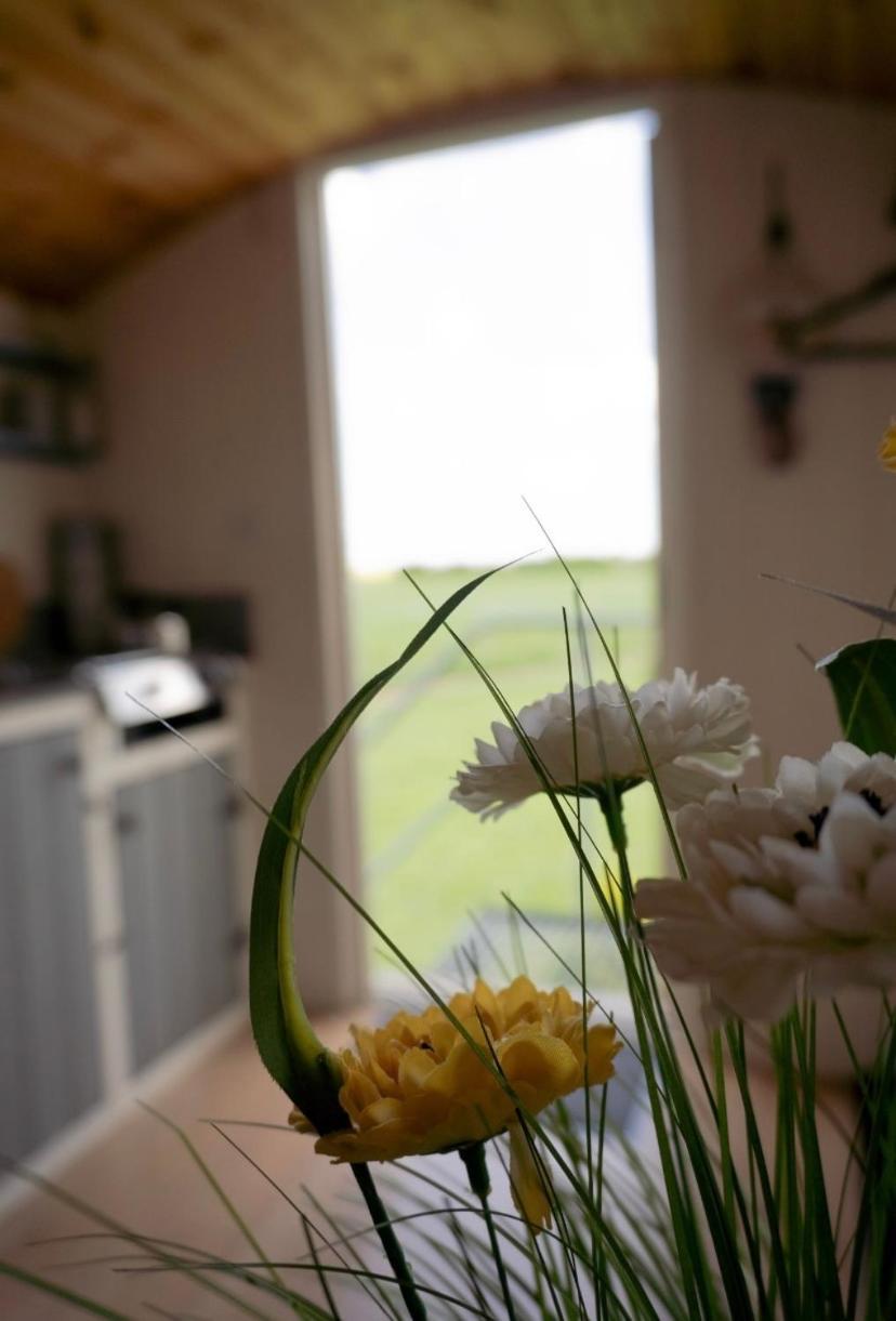 Hotel Maple Hut Four Acre Farm Aylsham Exterior foto